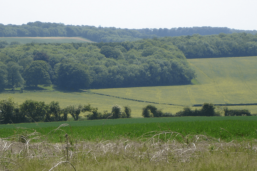 Kentish Downs with dry stone walls