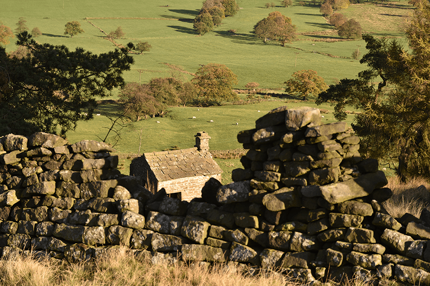 Dry stone wall - Ilkley Moors