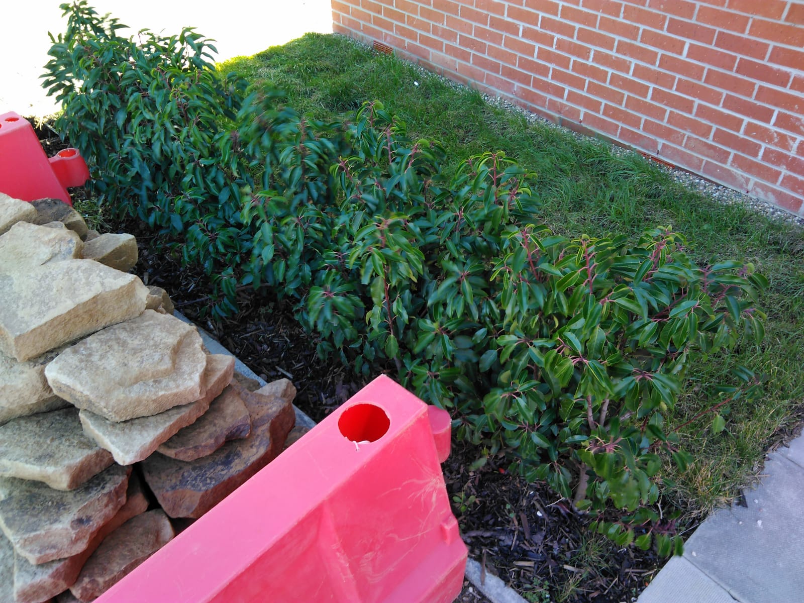 Mill Farm dry stone walling with newly quarried stone Roots Crafts