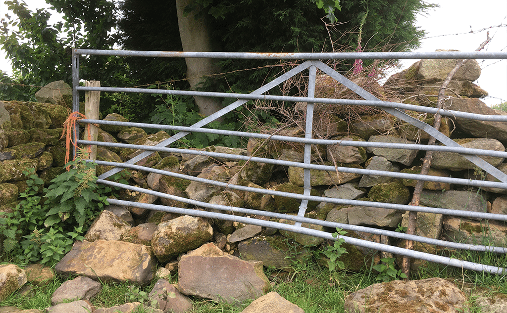 gritstone dry stone field wall