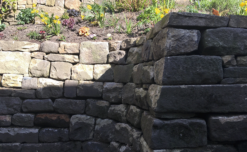 Calderside garden retaining dry stone wall