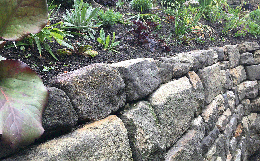 gritstone-dry-stone-retaining-wall-calderside-08