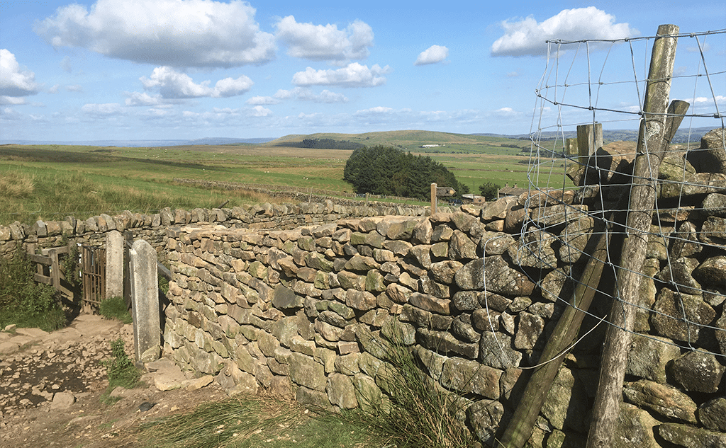 gritstone-drystone-field-wall-pendleside-07