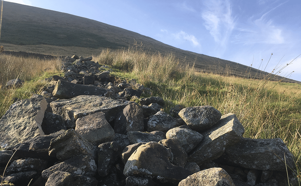 gritstone-drystone-field-wall-pendleside-10