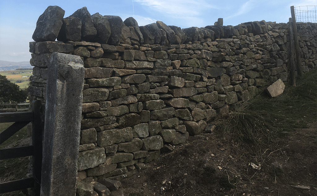 gritstone-drystone-field-wall-pendleside-13