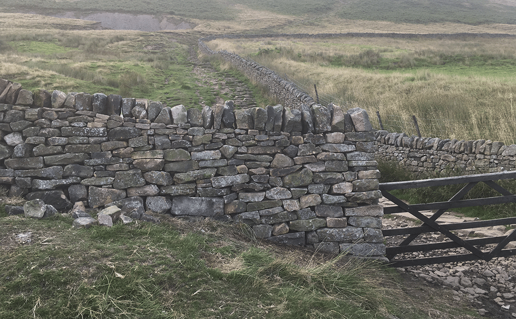 gritstone-drystone-field-wall-pendleside-15