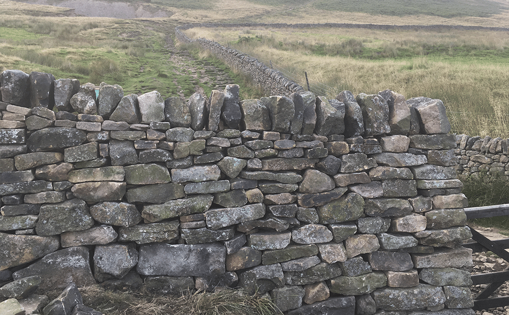 gritstone-drystone-field-wall-pendleside-16
