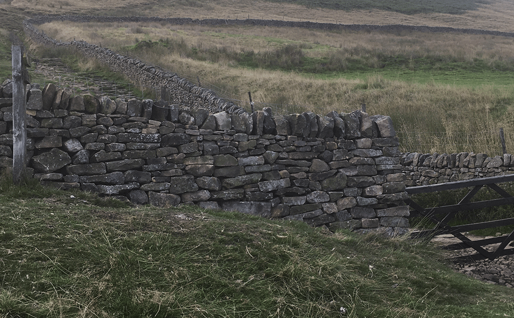 gritstone-drystone-field-wall-pendleside-18