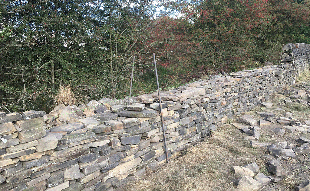 bradford-delph-field-wall-simonstone-16