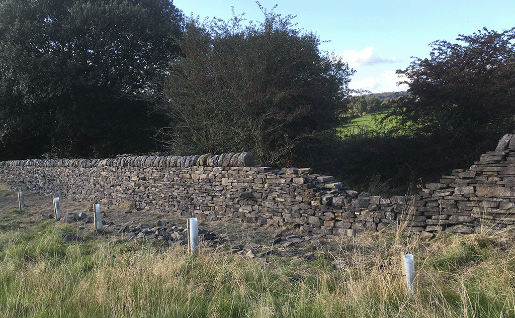 bradford-delph-field-wall-simonstone-19