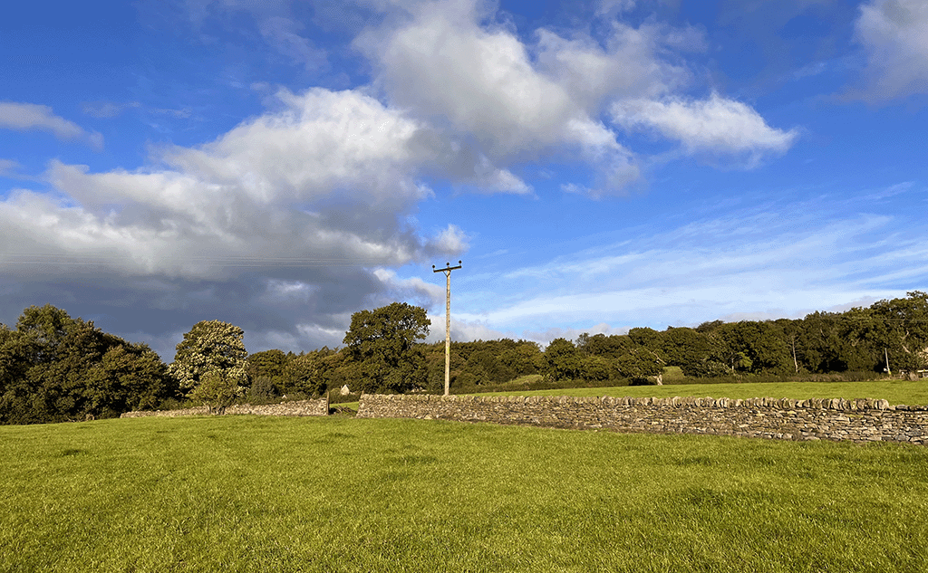 Dry stone wall, field wall progress