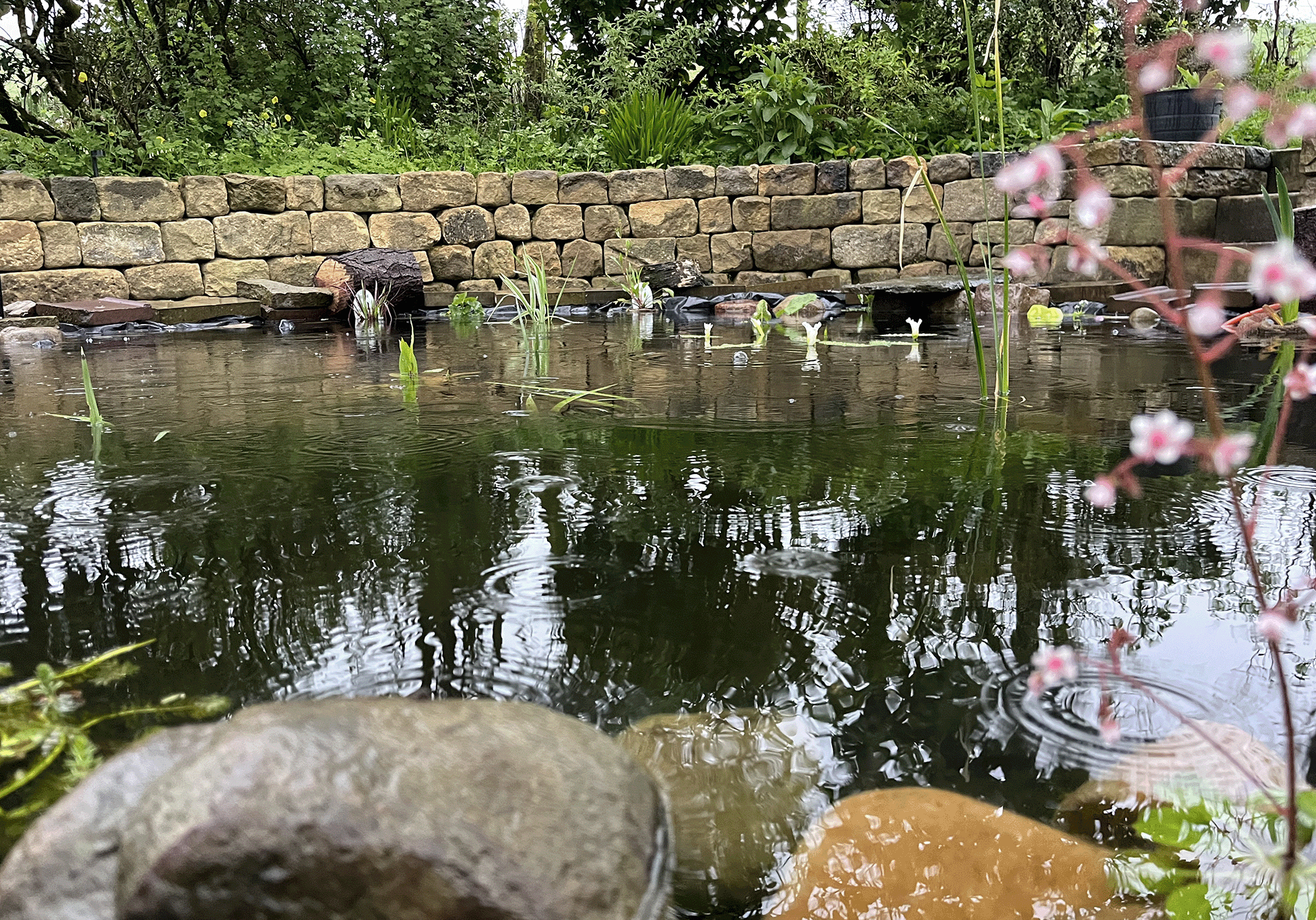 dry-stone-wall-pond-IMG_5168