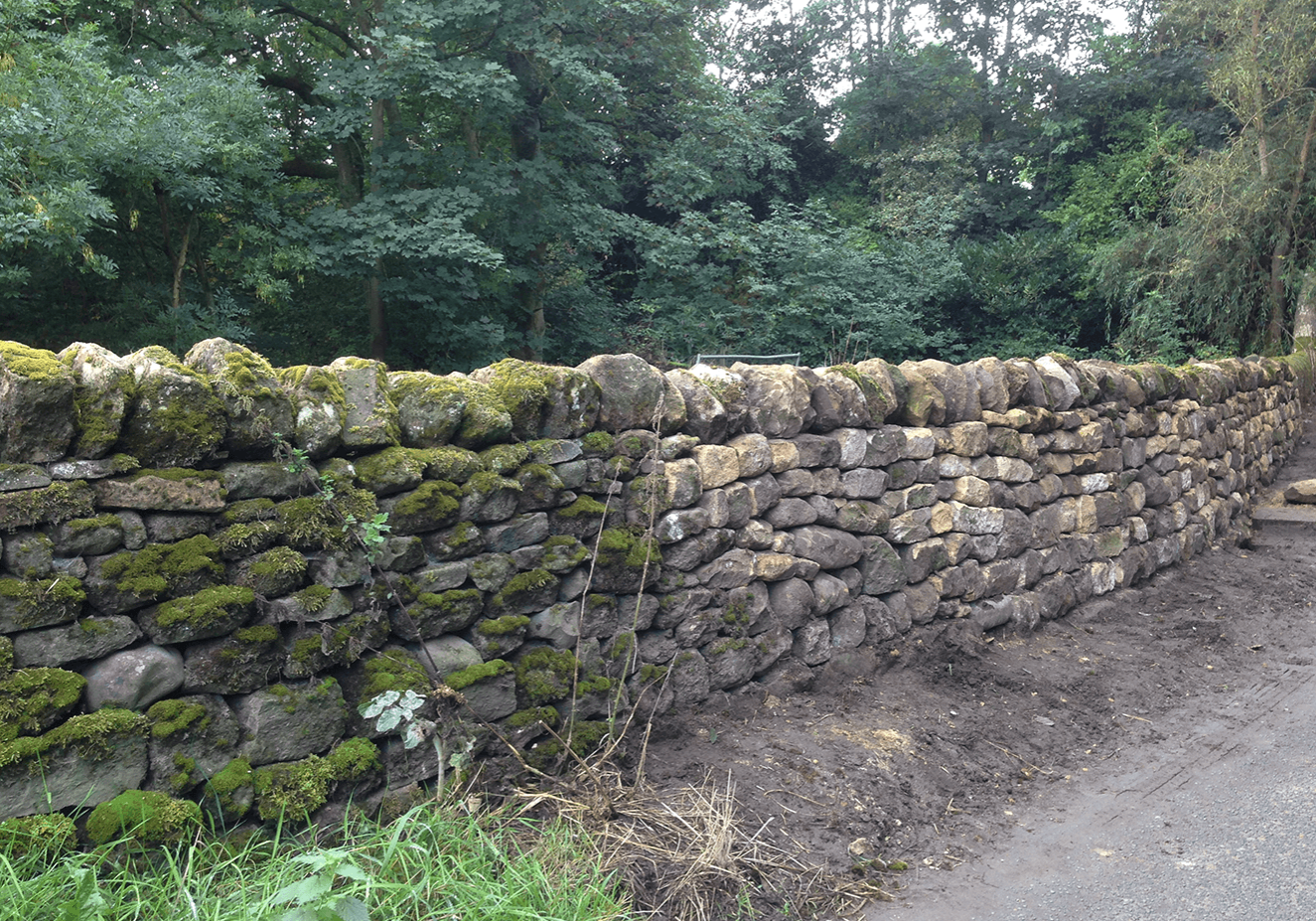 Traditional dry stone walling in Eccup