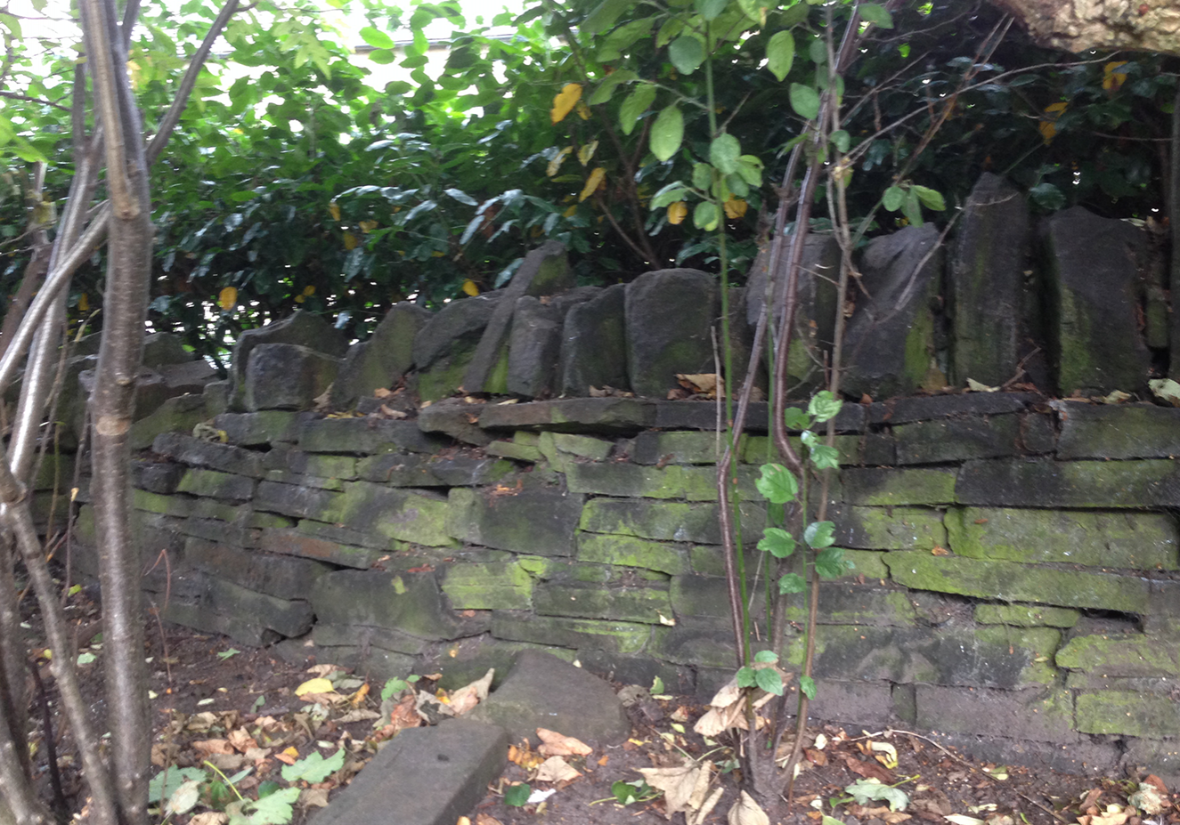 Weathered & damaged garden wall